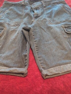 Bandolino Women's Gray Shorts